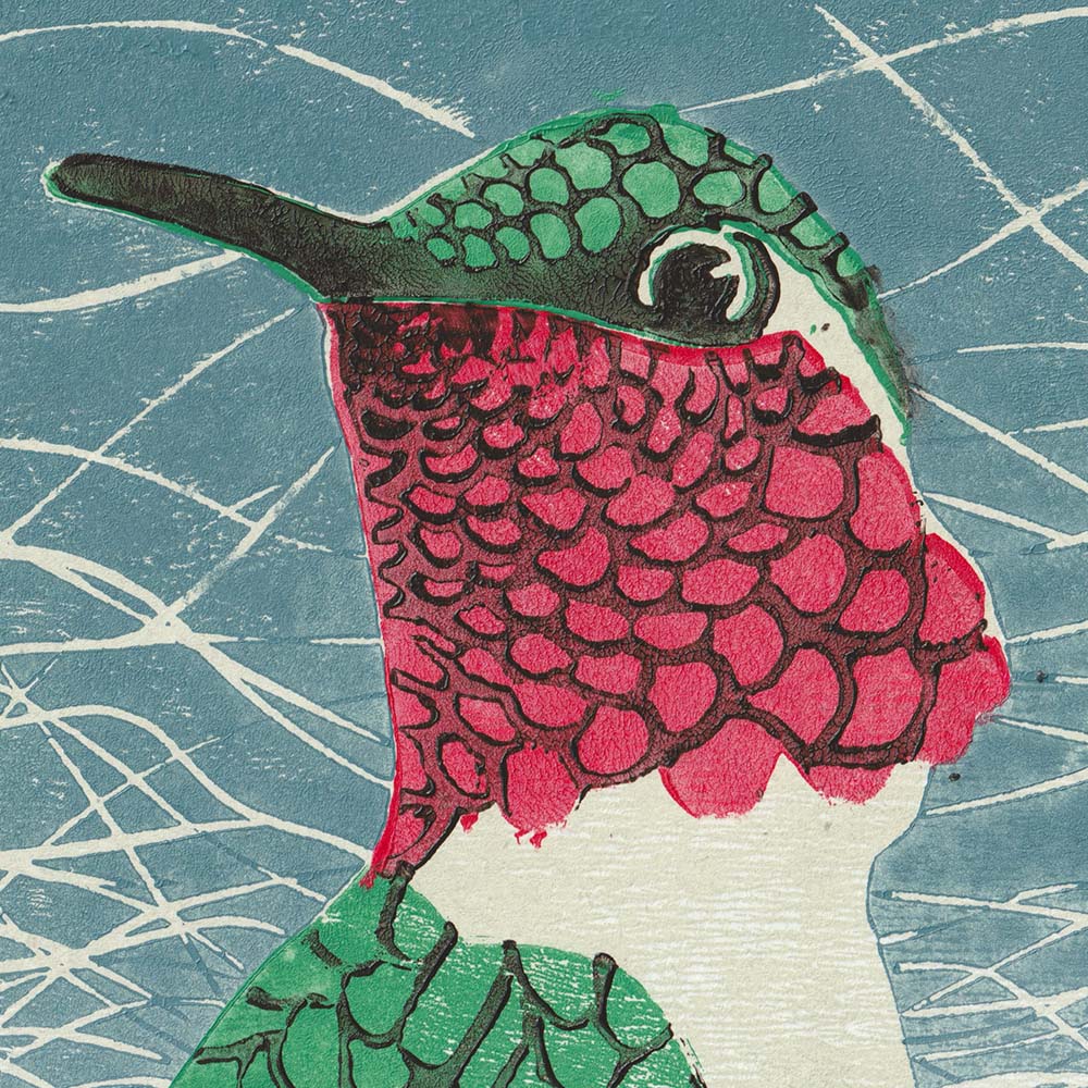 lino print illustration Little WoodstarHummingbird Jeanne Melchels